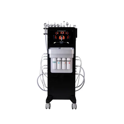 FQB95-G725 10 in 1 Hydra Facial Machine